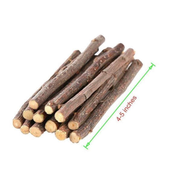 Chinchilla Apple Wood Chew Sticks 4